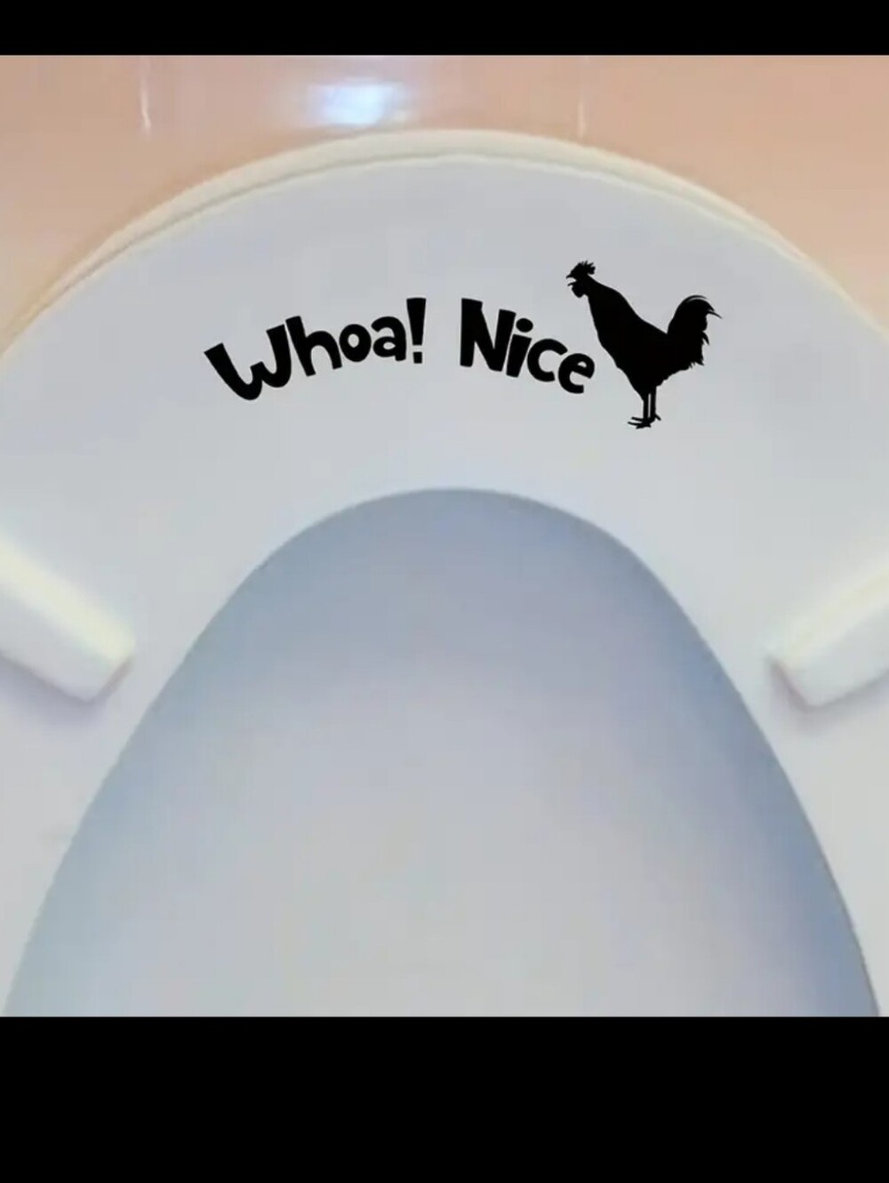 2$ Add On⭐Whoa! Nice 🐓 Toilet Seat Sticker